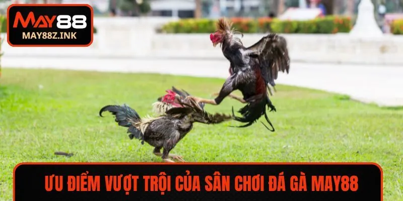 Ưu điểm vượt trội giúp MAY88 chiếm trọn lòng tin người chơi