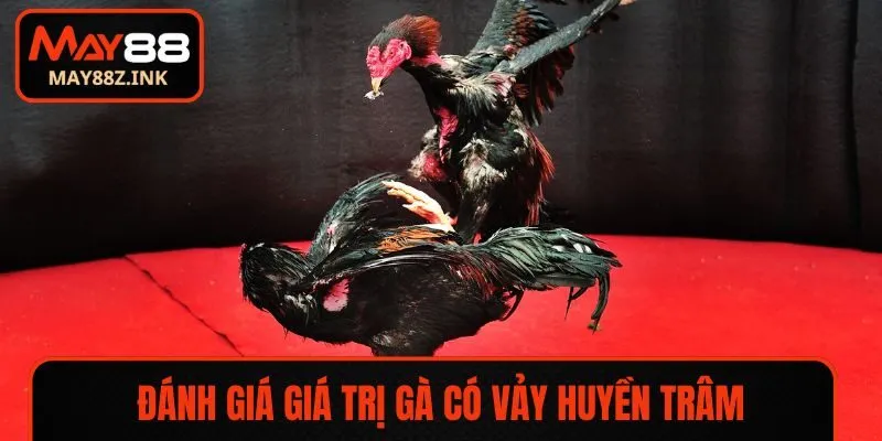 Đánh giá giá trị gà có vảy Huyền Trâm