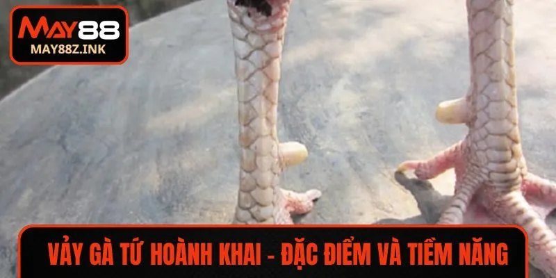 vay ga tu hoanh khai