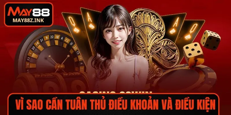 Vì sao cần tuân thủ điều khoản và điều kiện
